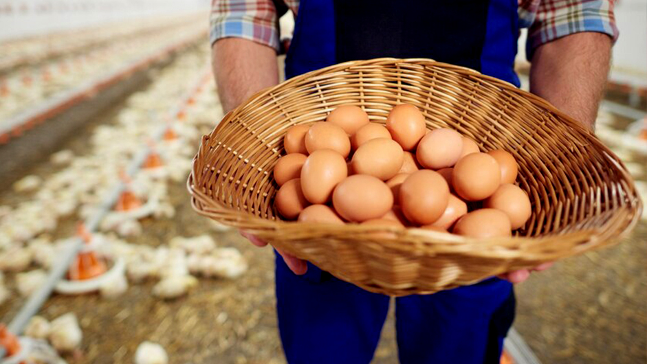 farm-prod