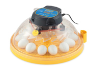 hatching-eggs1