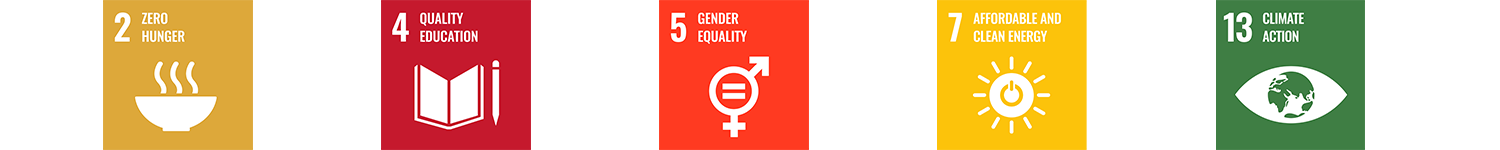 5 SDG